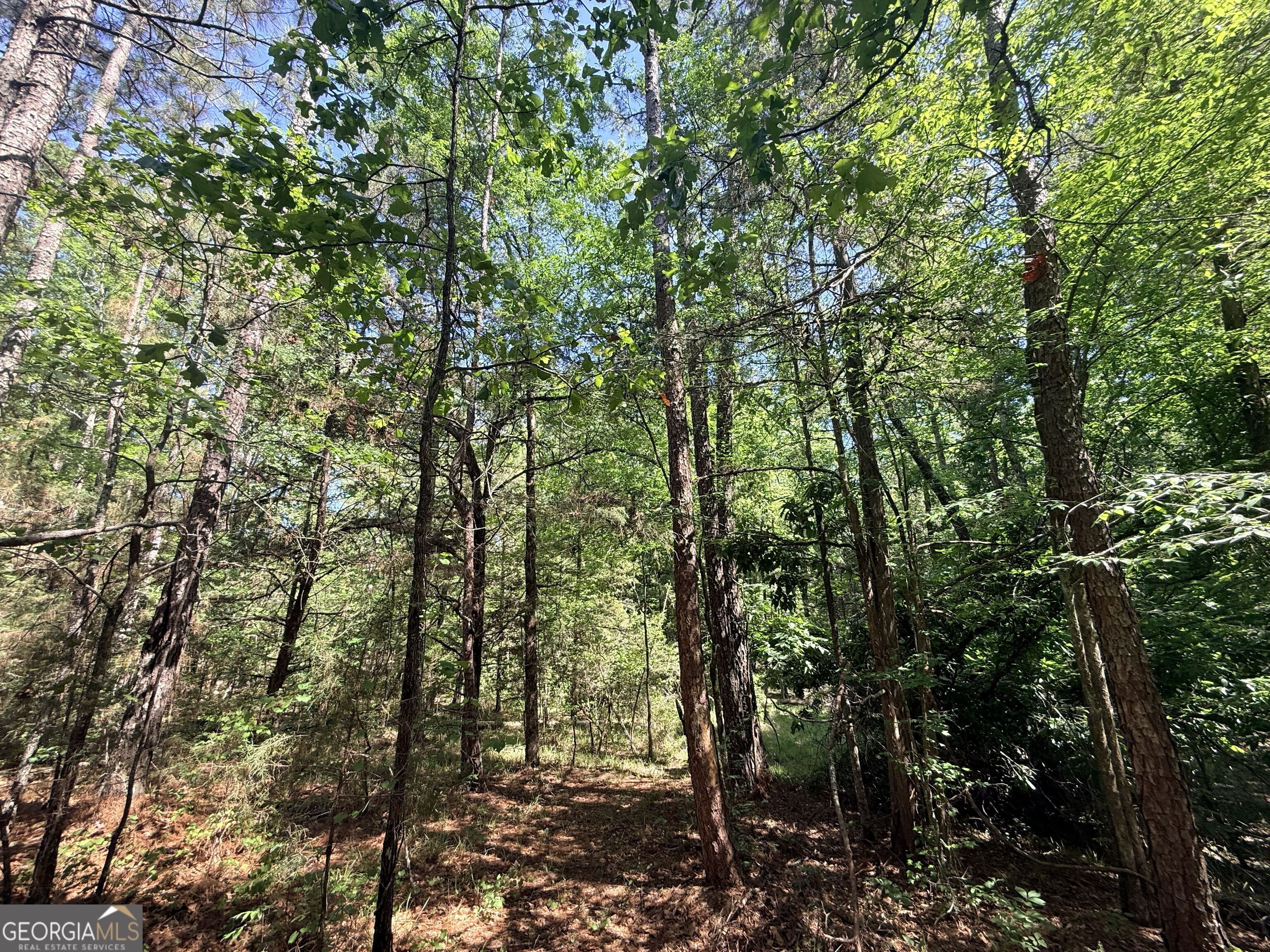 580 Saggus Road Washington, GA 30673 - Photo 21 of 54