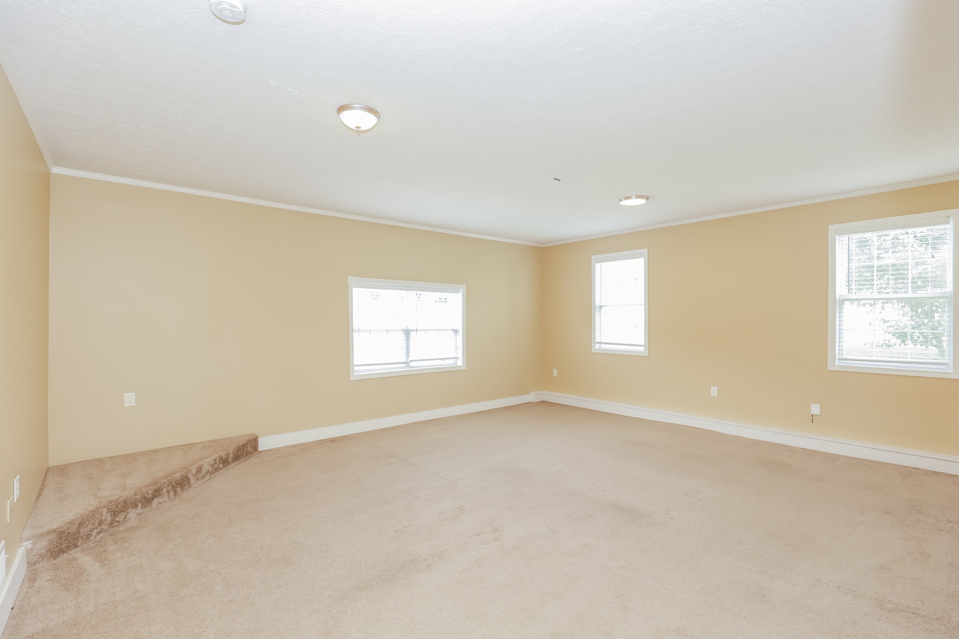 701 Comanche Court Madison, TN 37115 - Photo 3 of 16