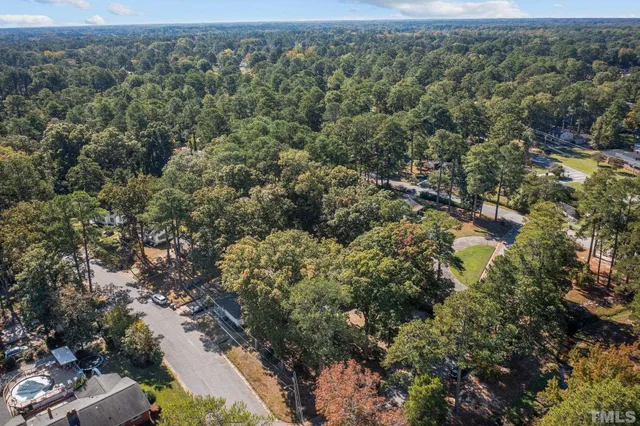 an aerial view of forest