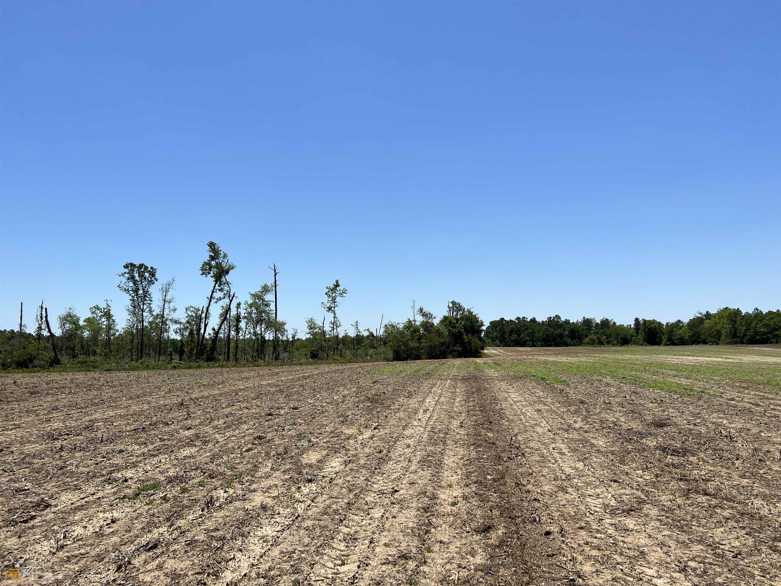 0 Harvey Road Abbeville, GA 31001 - Photo 1 of 1 Gallery Image 1