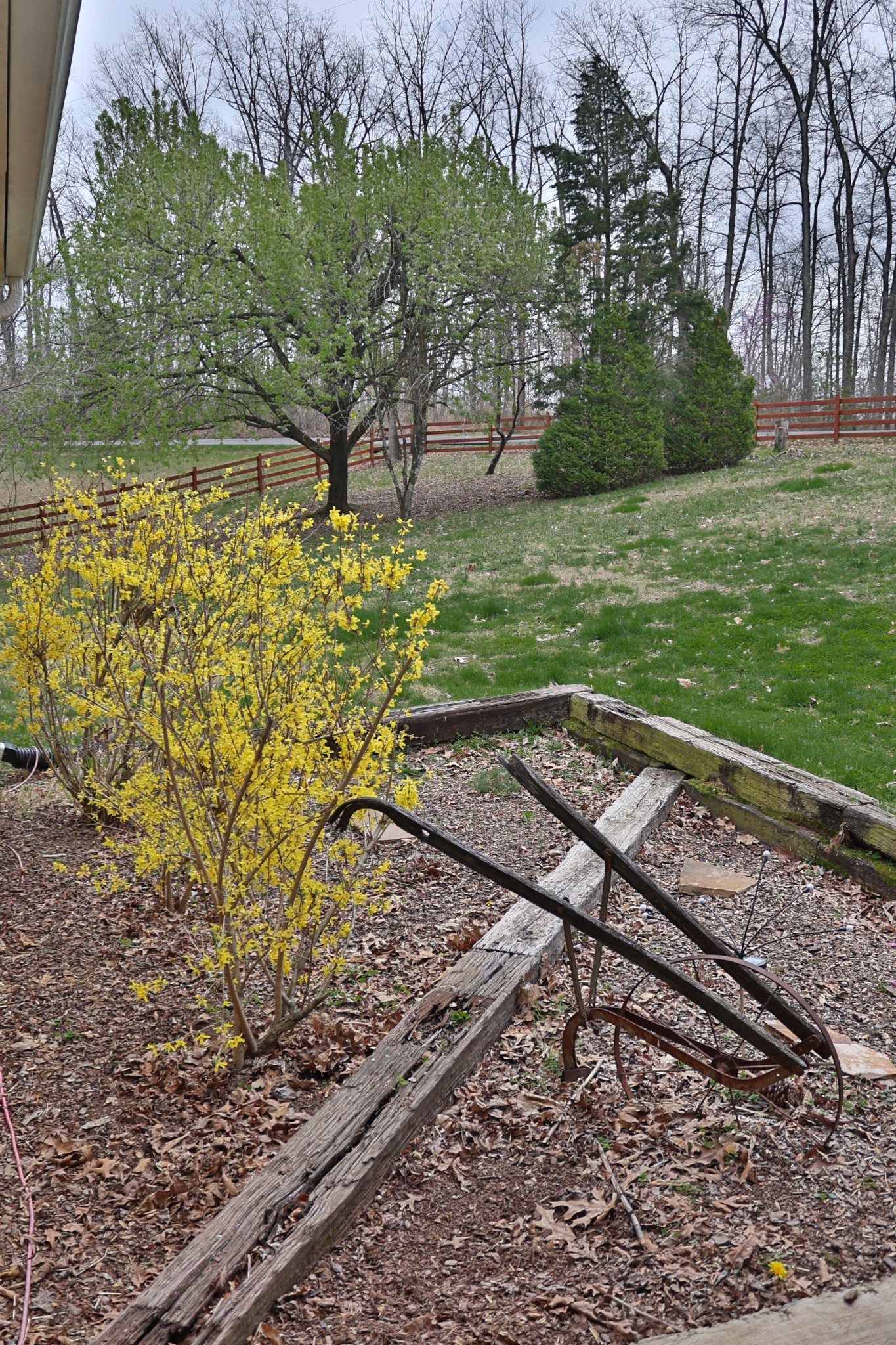 1660 Leatherwood Road White Bluff, TN 37187 - Photo 9 of 41