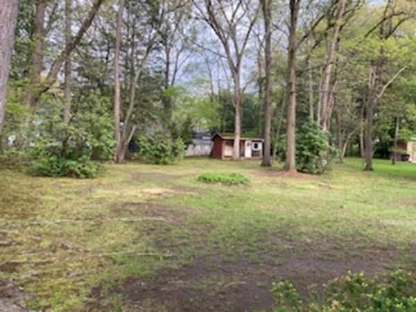 115 Fenwood Road Longmeadow, MA 01106 - Photo 24 of 27 Gallery Image 24