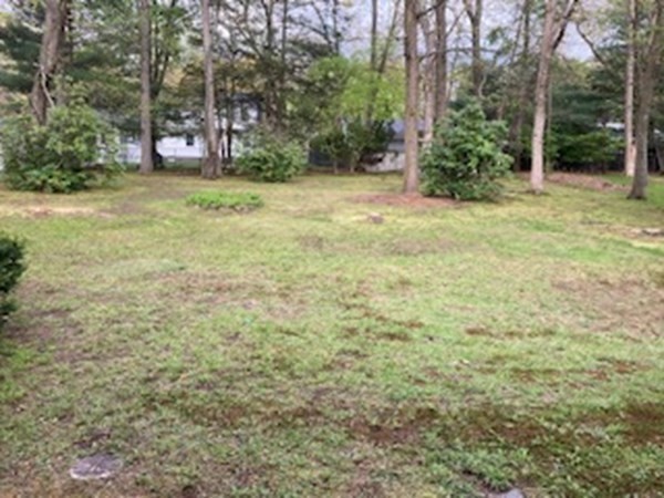 115 Fenwood Road Longmeadow, MA 01106 - Photo 26 of 27 Gallery Image 26