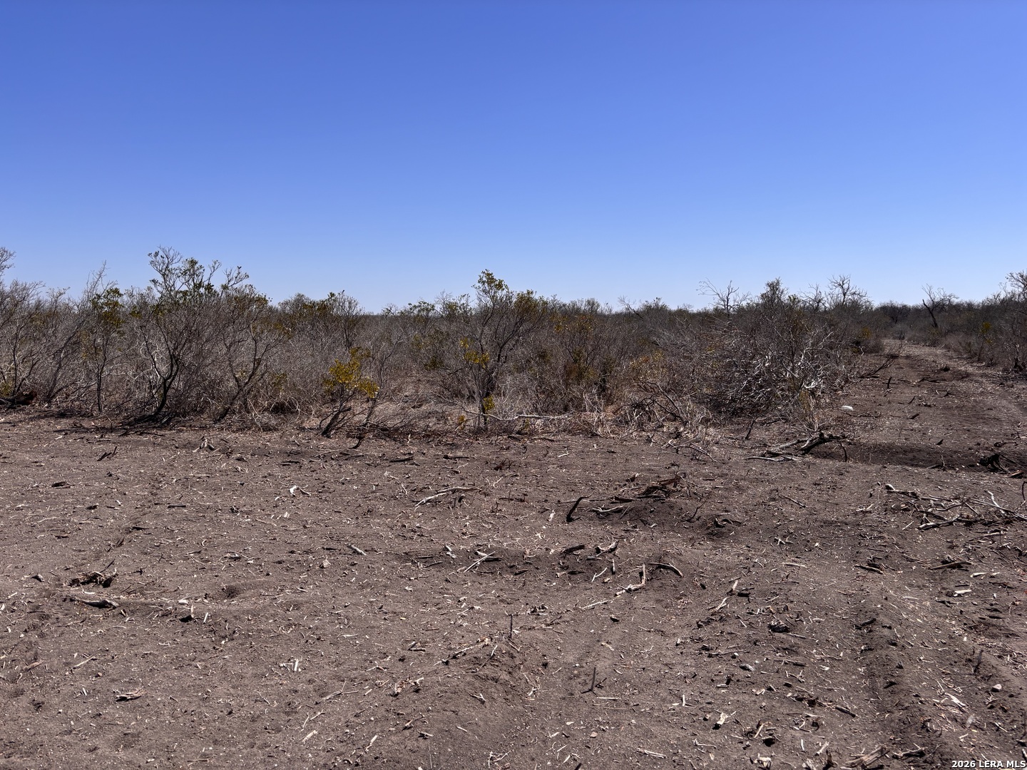 0 Highway 72 Three Rivers, TX 78071 - Photo 7 of 16