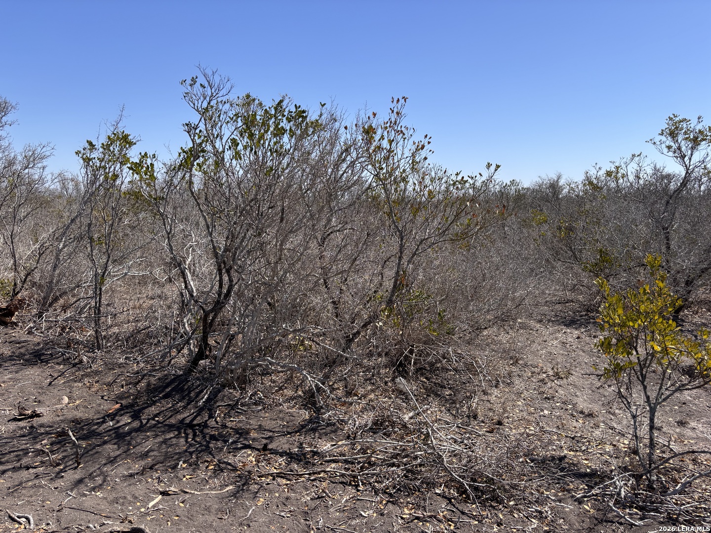 0 Highway 72 Three Rivers, TX 78071 - Photo 8 of 16