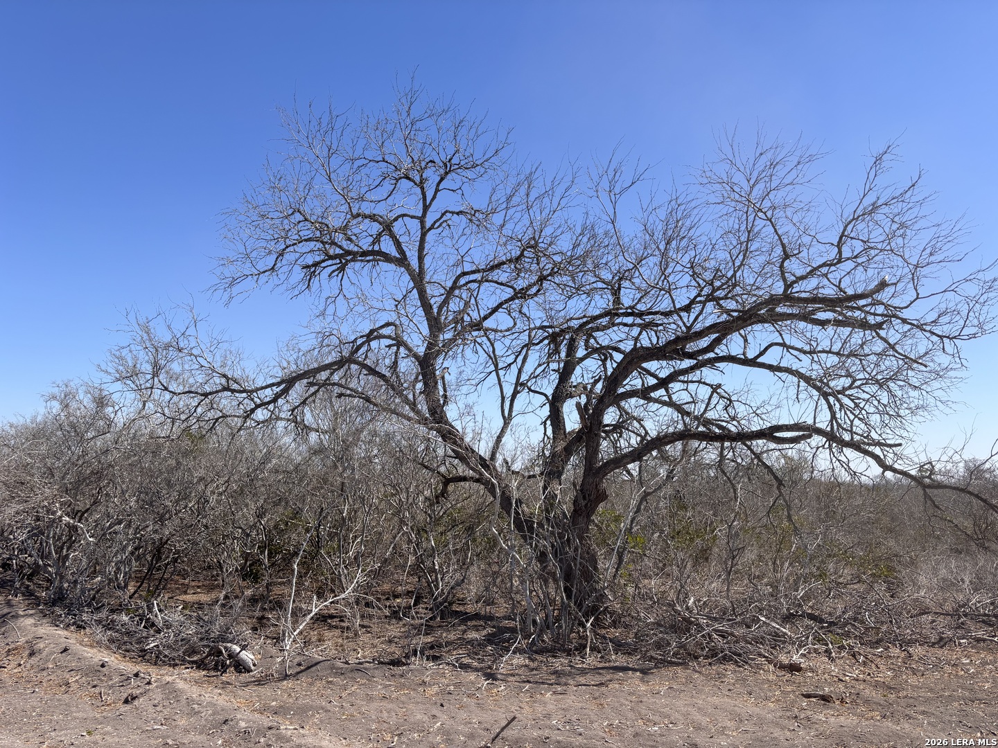 0 Highway 72 Three Rivers, TX 78071 - Photo 9 of 16