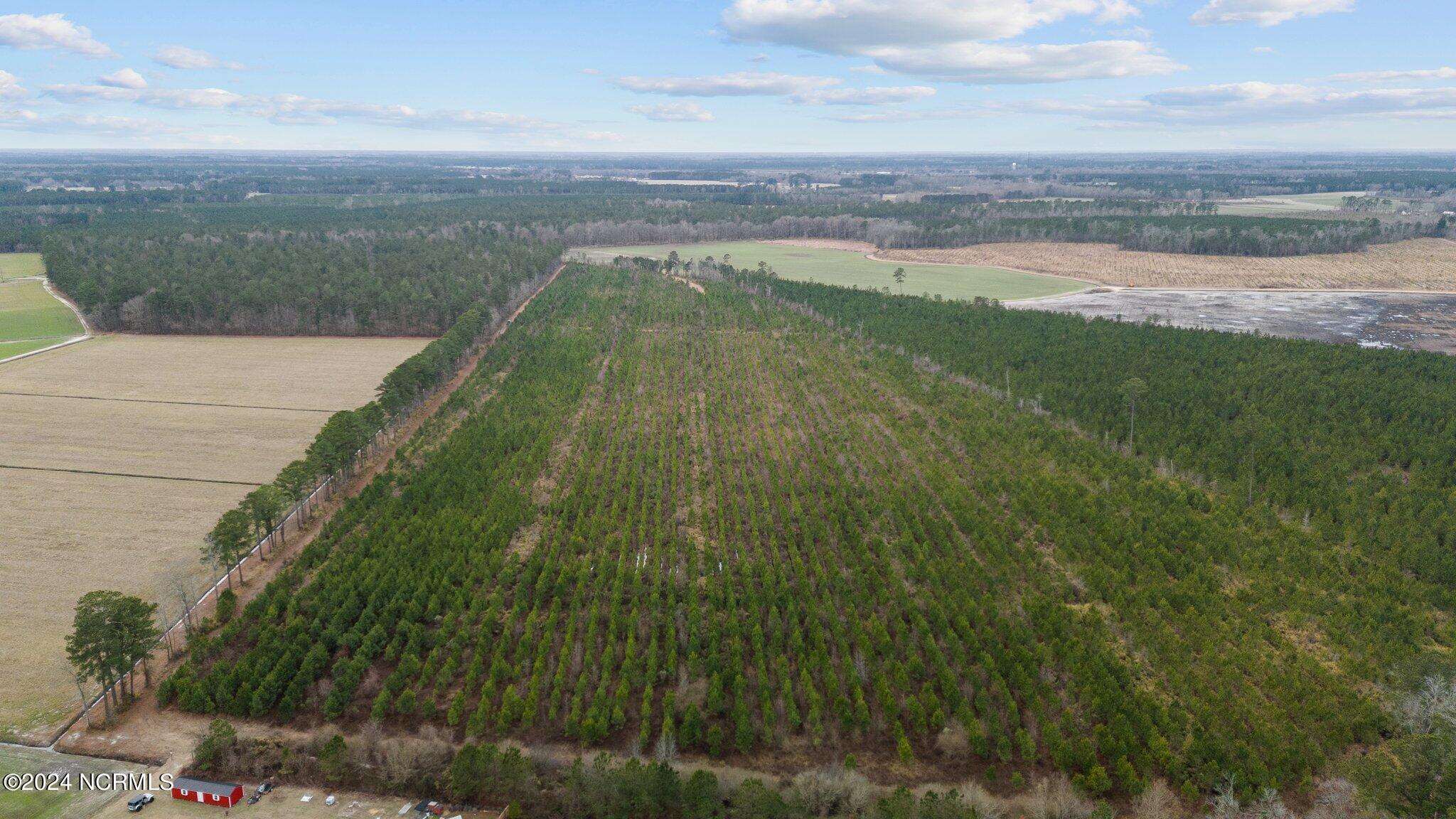 0 Lloyd Corey Road Stokes, NC 27884 - Photo 6 of 21 2-web-or-mls-DJI_20240123114722_0062_D