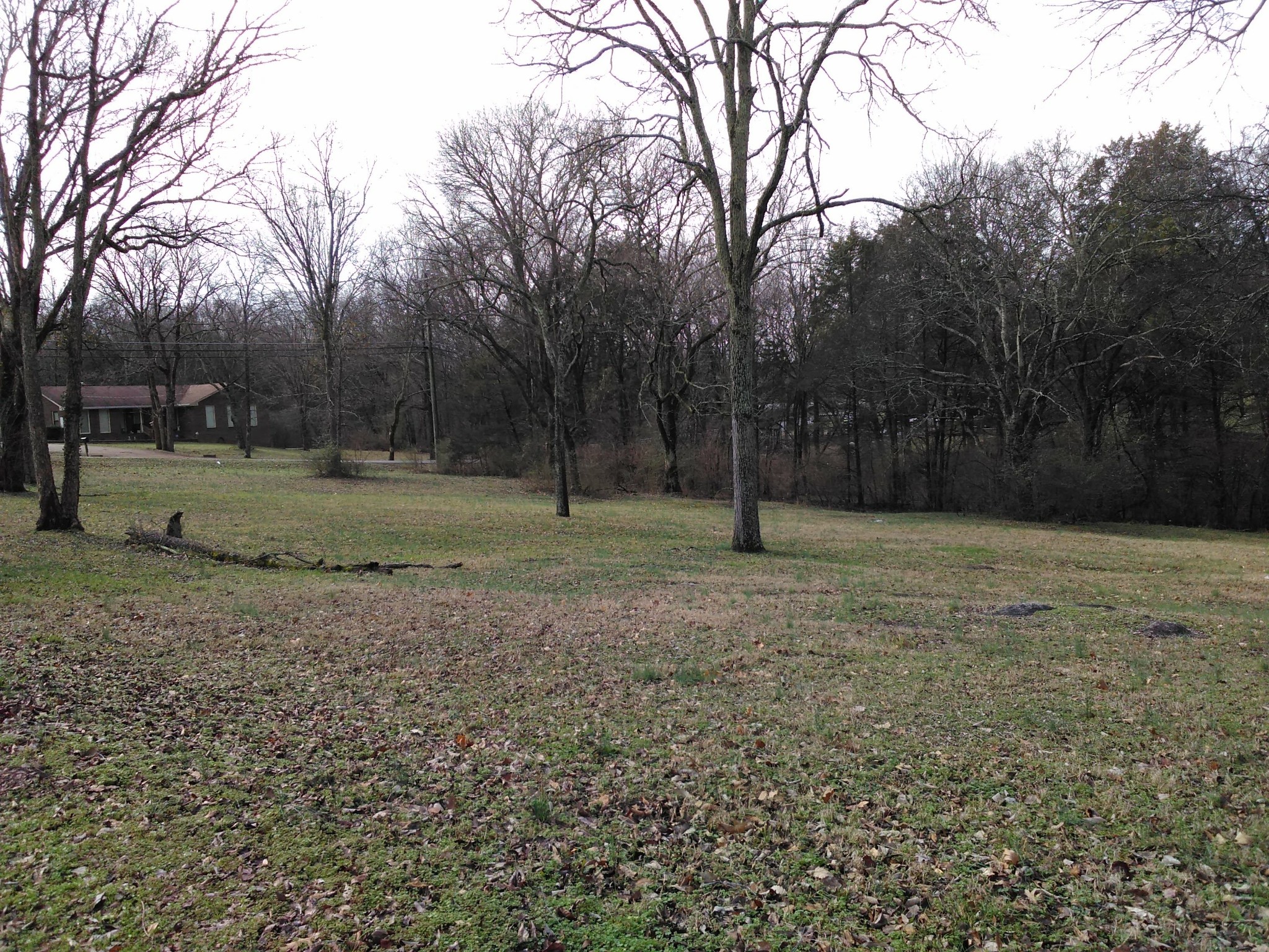 0 Irvin Road La Vergne, TN 37086 - Photo 9 of 9 Gallery Image 9