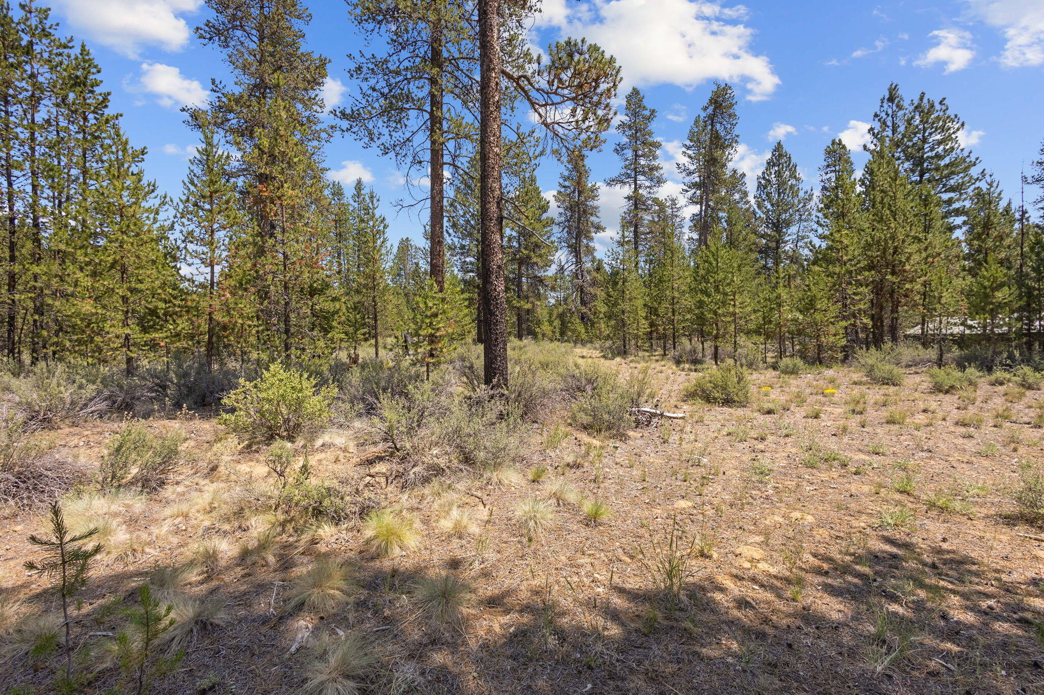 54400 Huntington Road Bend, OR 97707 - Photo 31 of 31 11-web-or-mls-54400 Huntington Rd, Bend