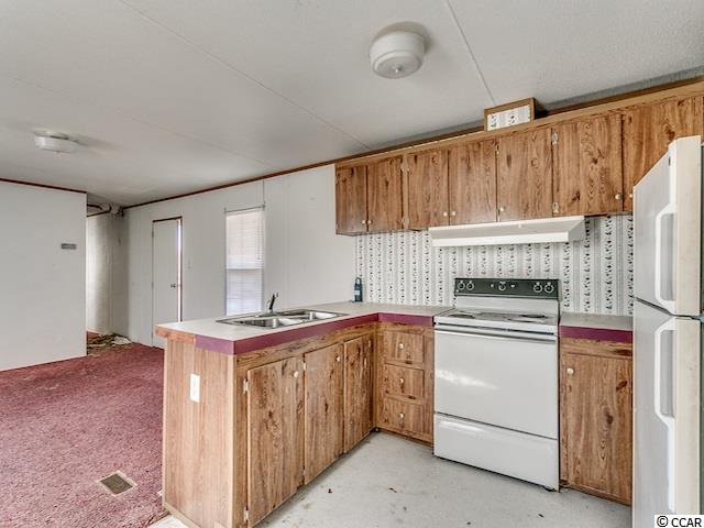 218 Flag Patch Road Loris, SC 29569 - Photo 5 of 13