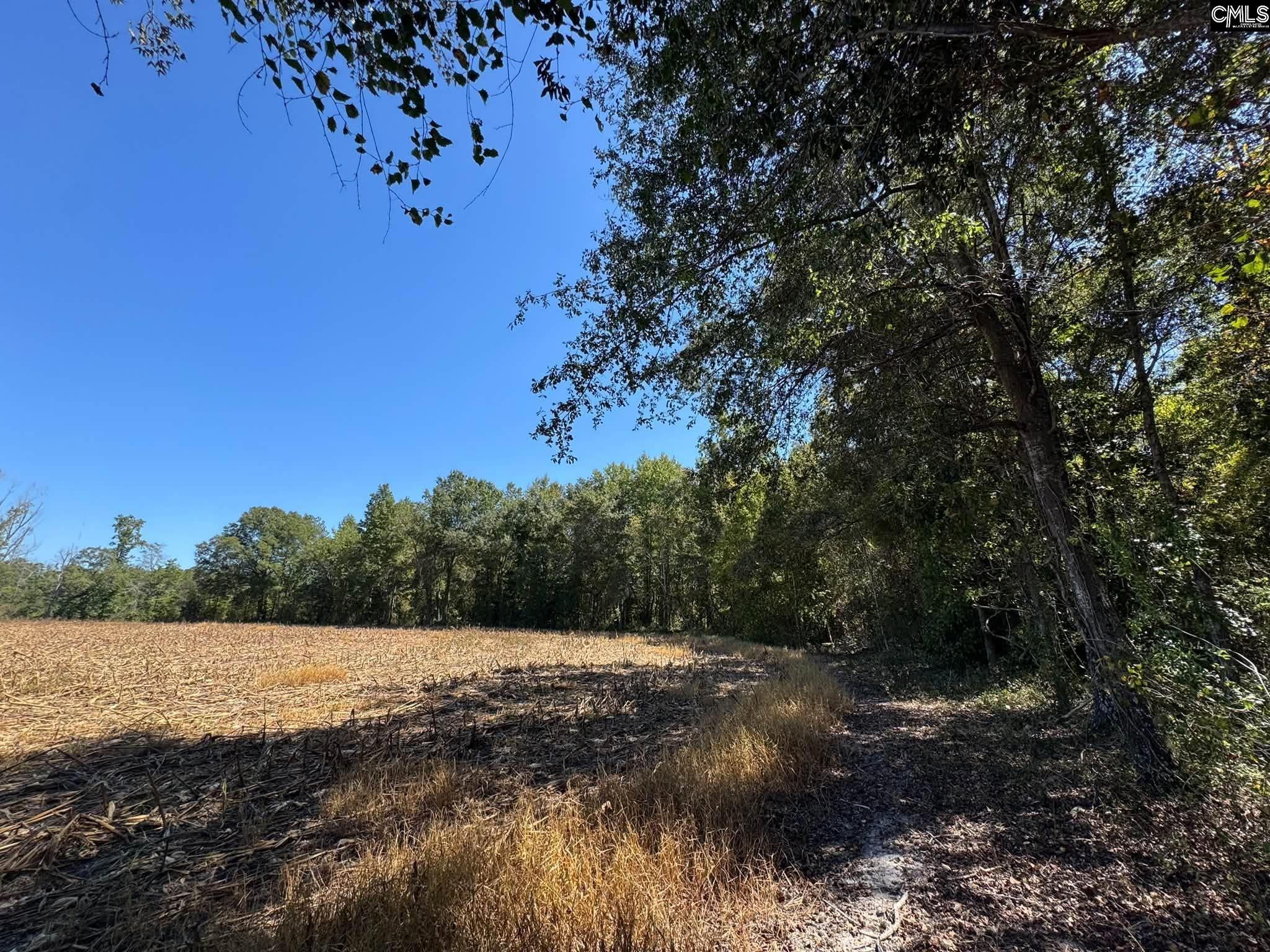 St Matthews Church Road Sumter, SC 29153 - Photo 19 of 34 Gallery Image 19