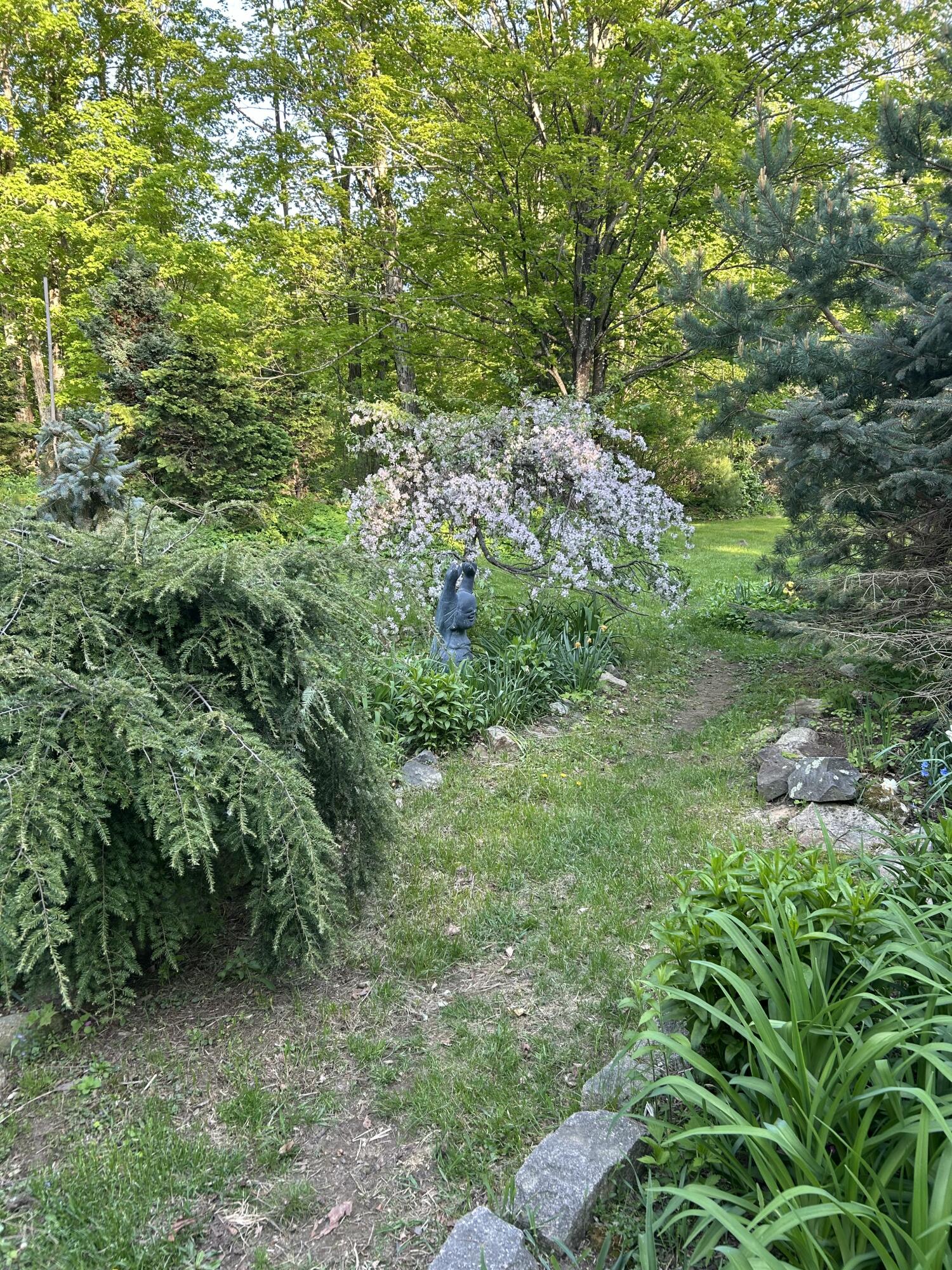 67 Elm Street Newfield, ME 04095 - Photo 50 of 69 IMG_5219