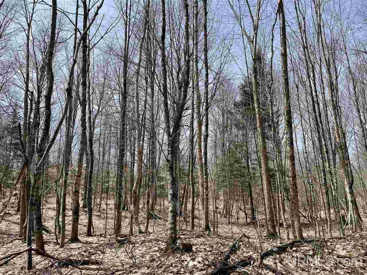0 Old Seney Road Seney, MI 49883 - Photo 22 of 31