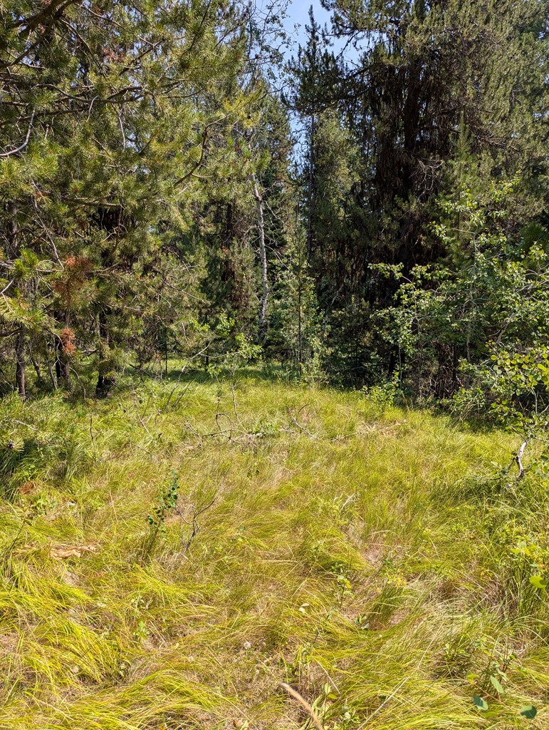 32 Thunderbolt Place, Unit 79 McCall, ID 83638 - Photo 9 of 12