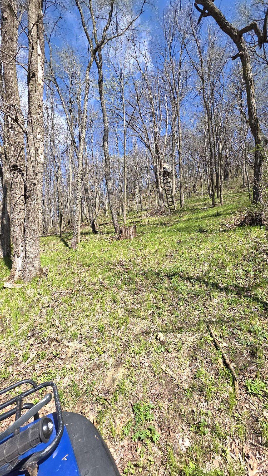 S10740 Bear Valley Road Spring Green, WI 53588 - Photo 11 of 34