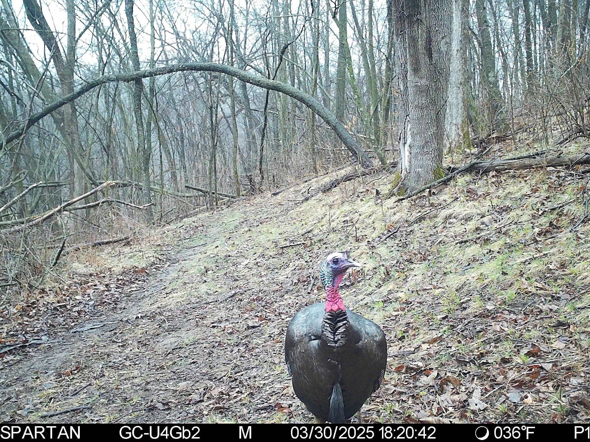 S10740 Bear Valley Road Spring Green, WI 53588 - Photo 18 of 34