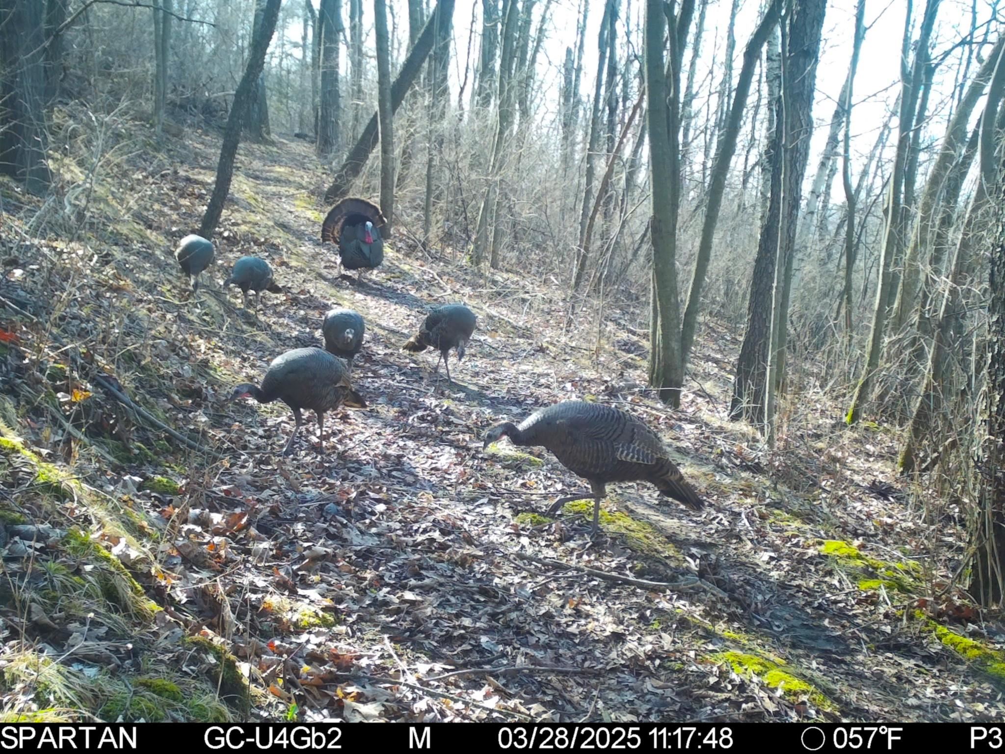 S10740 Bear Valley Road Spring Green, WI 53588 - Photo 23 of 34