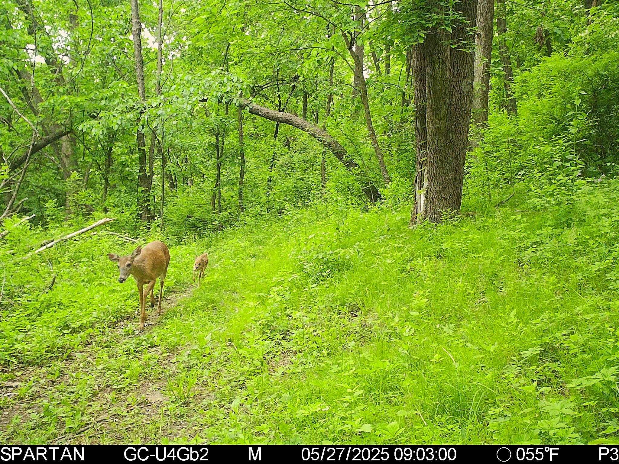 S10740 Bear Valley Road Spring Green, WI 53588 - Photo 24 of 34