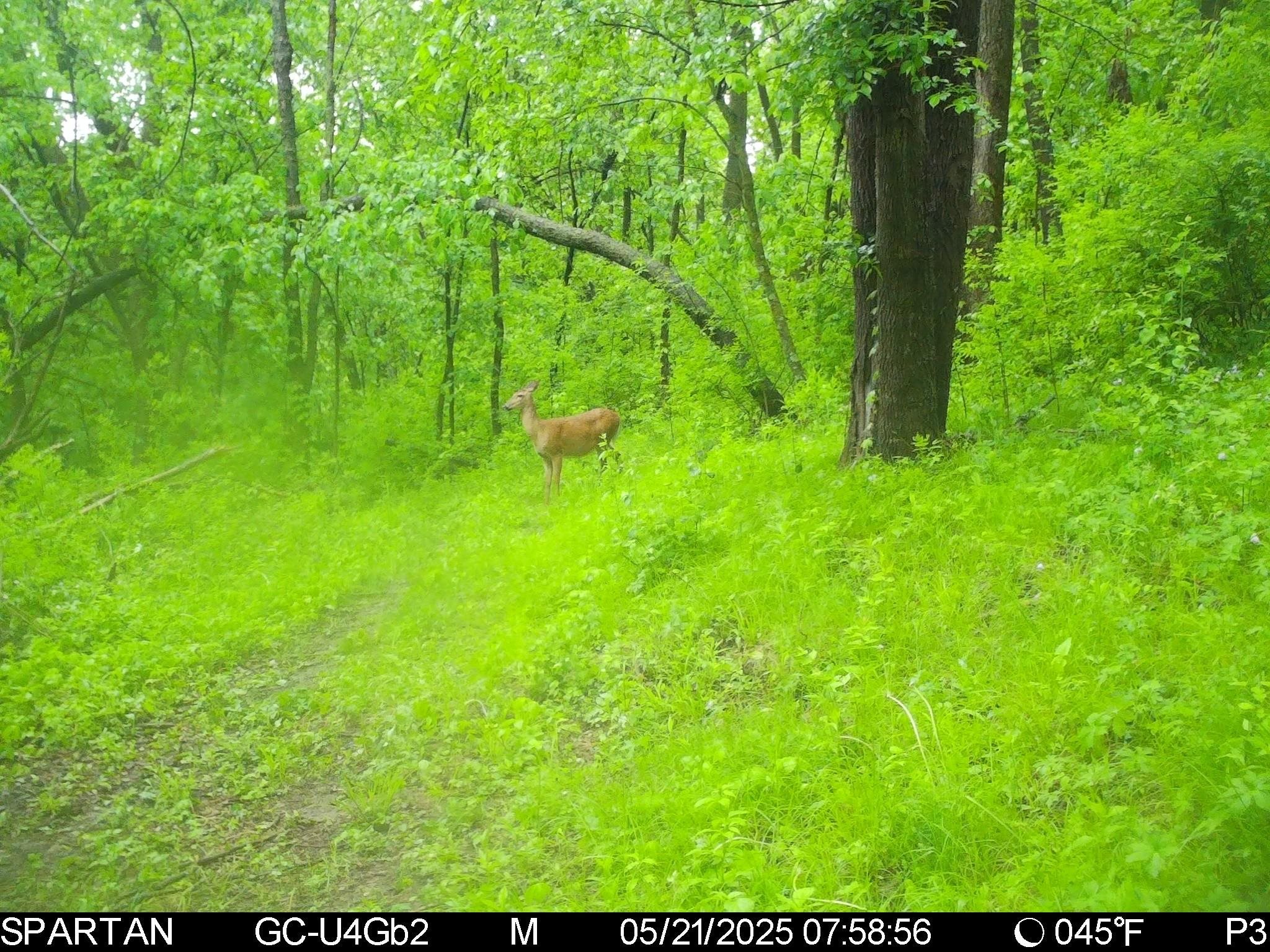 S10740 Bear Valley Road Spring Green, WI 53588 - Photo 25 of 34
