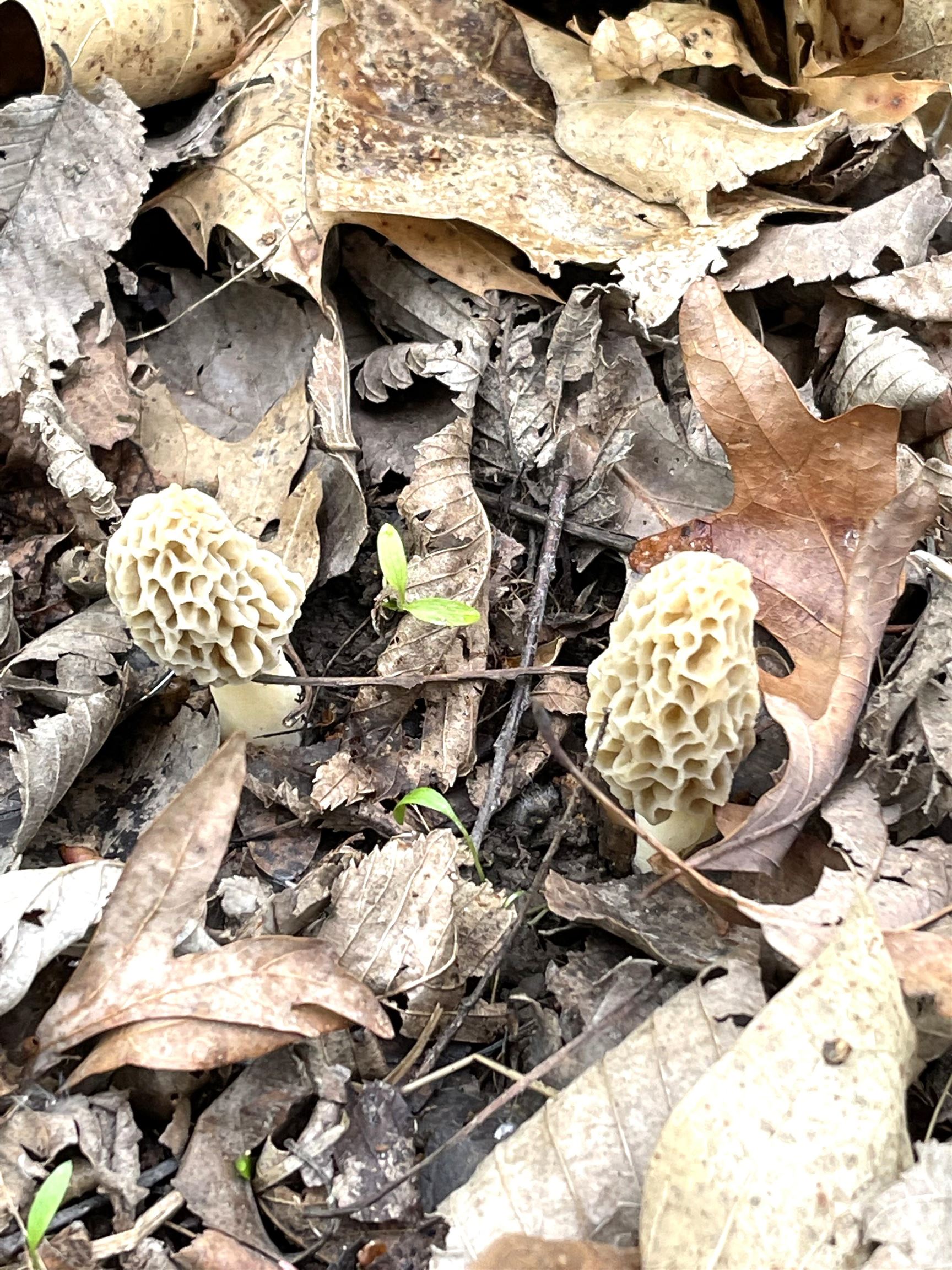 S10740 Bear Valley Road Spring Green, WI 53588 - Photo 26 of 34