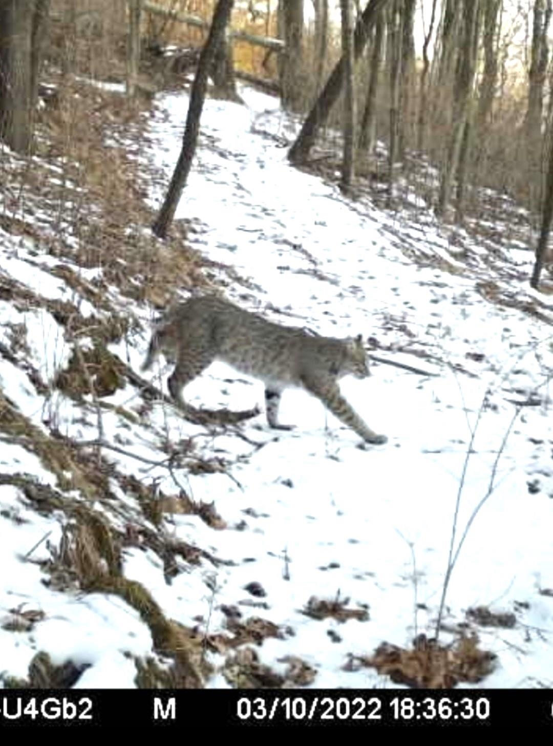 S10740 Bear Valley Road Spring Green, WI 53588 - Photo 28 of 34