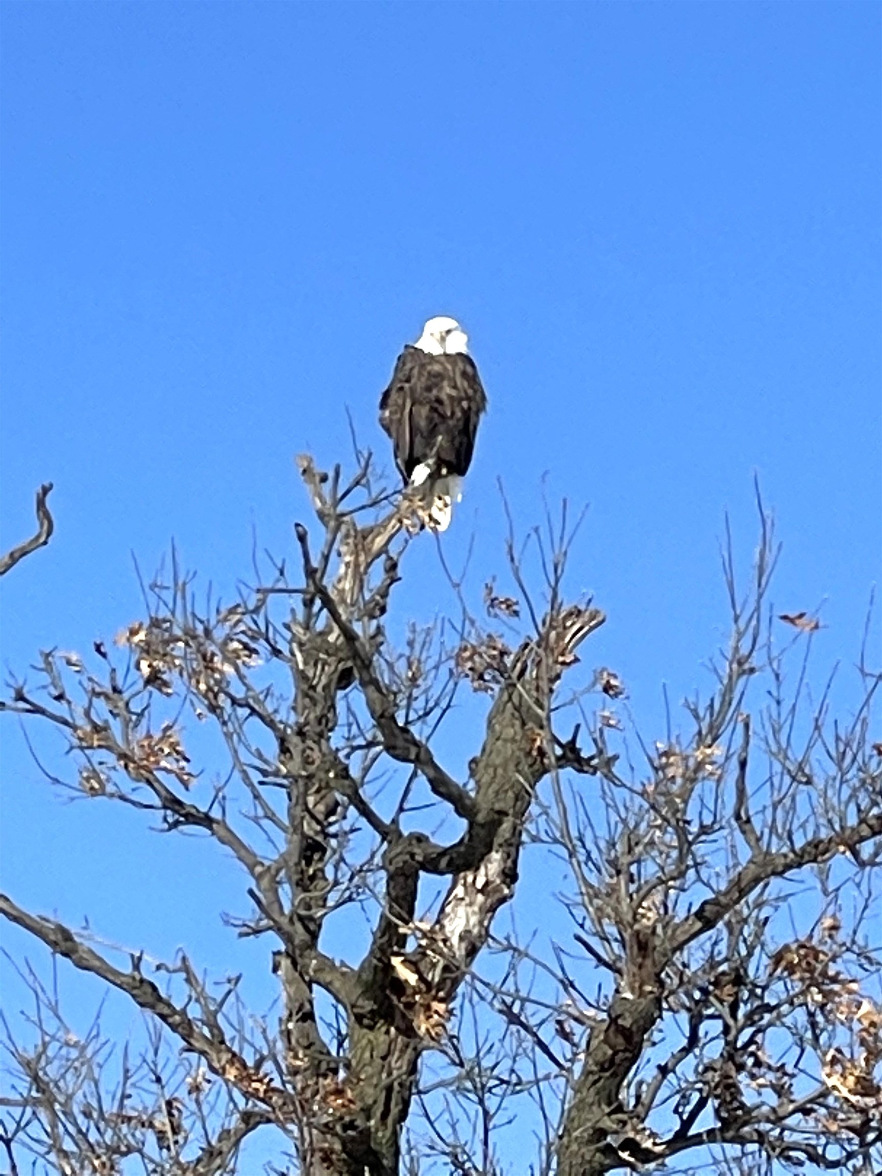S10740 Bear Valley Road Spring Green, WI 53588 - Photo 29 of 34