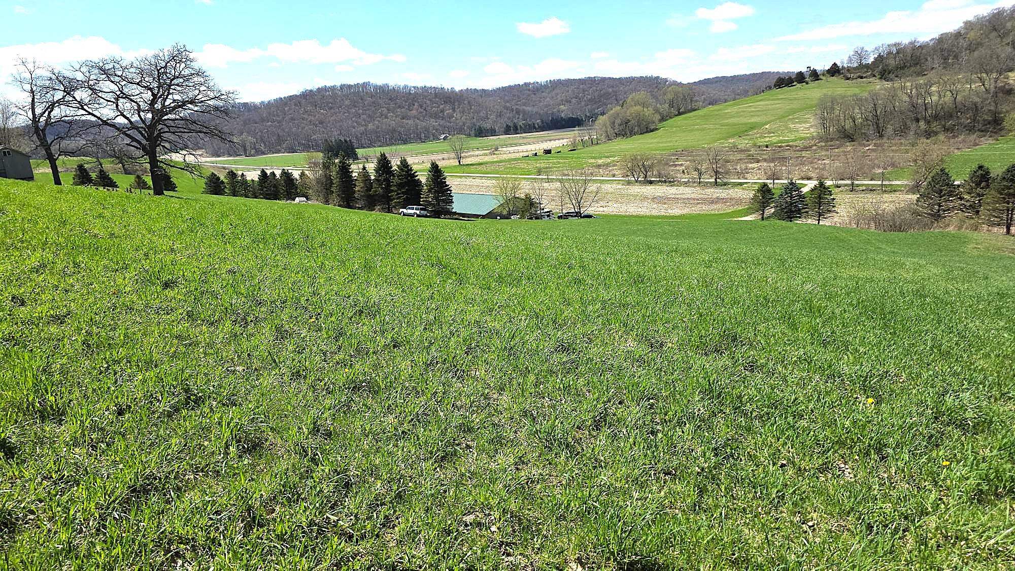S10740 Bear Valley Road Spring Green, WI 53588 - Photo 3 of 34