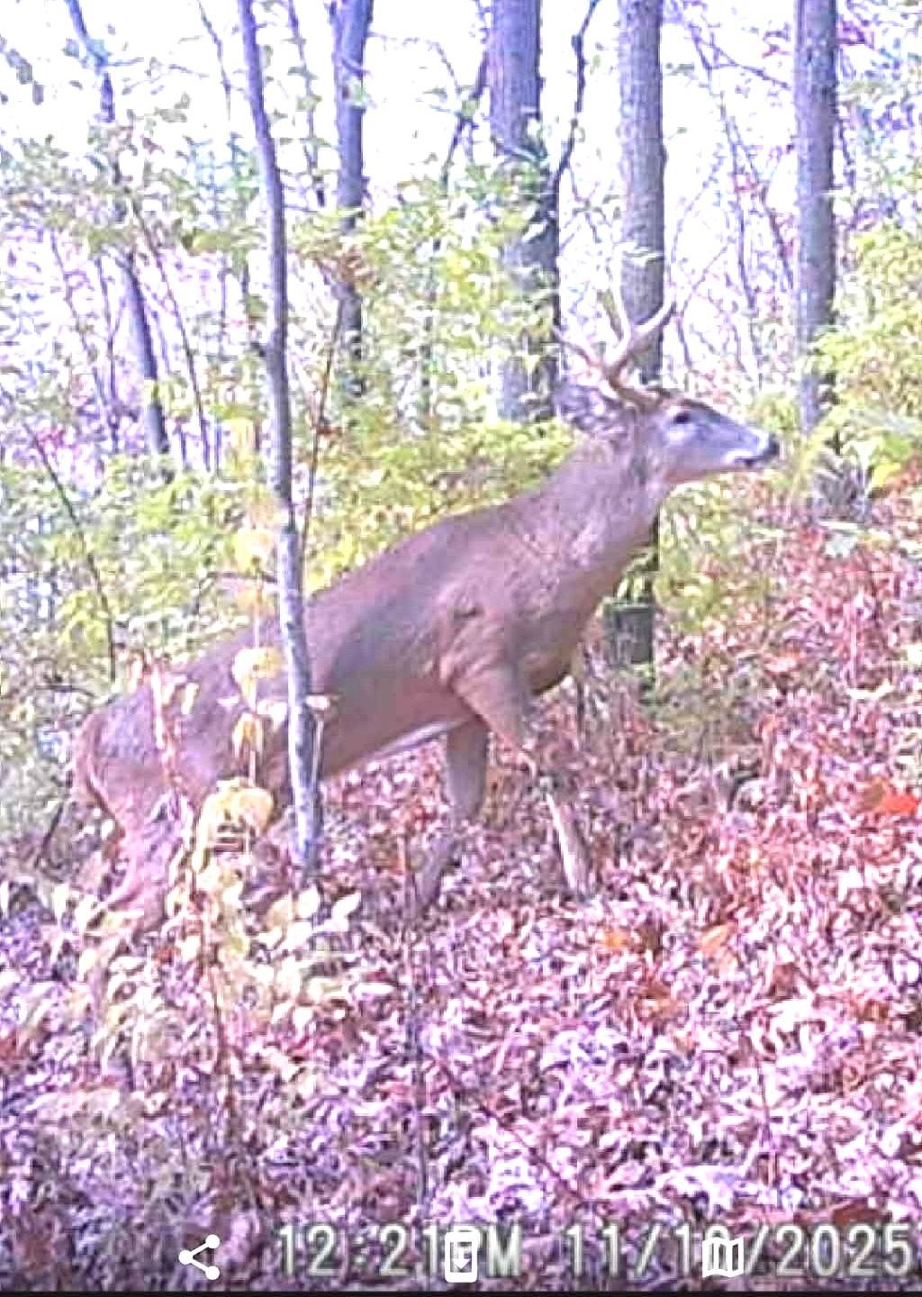 S10740 Bear Valley Road Spring Green, WI 53588 - Photo 33 of 34