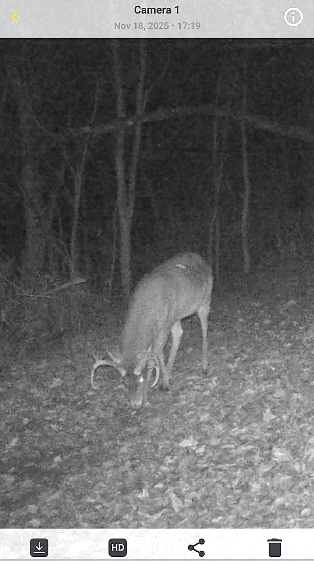 S10740 Bear Valley Road Spring Green, WI 53588 - Photo 34 of 34