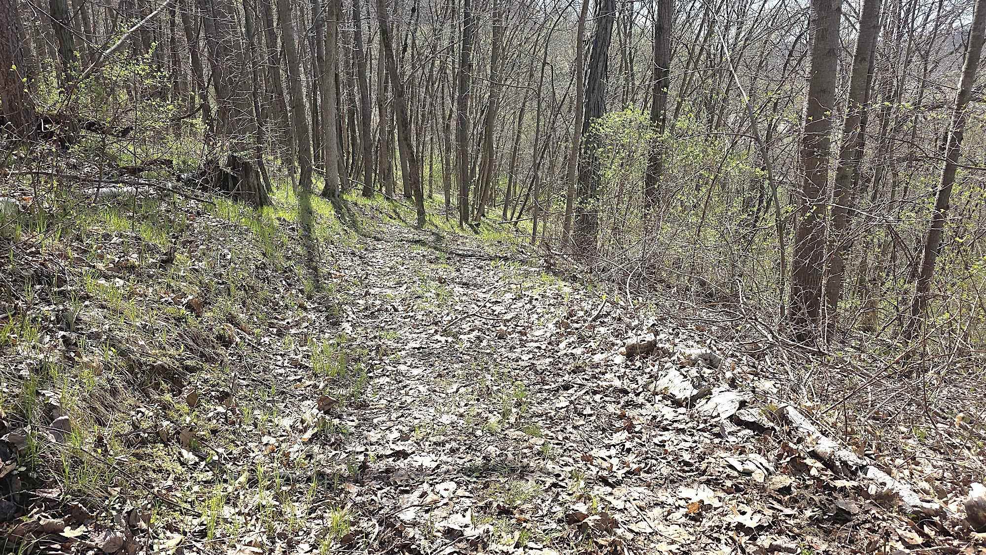 S10740 Bear Valley Road Spring Green, WI 53588 - Photo 4 of 34