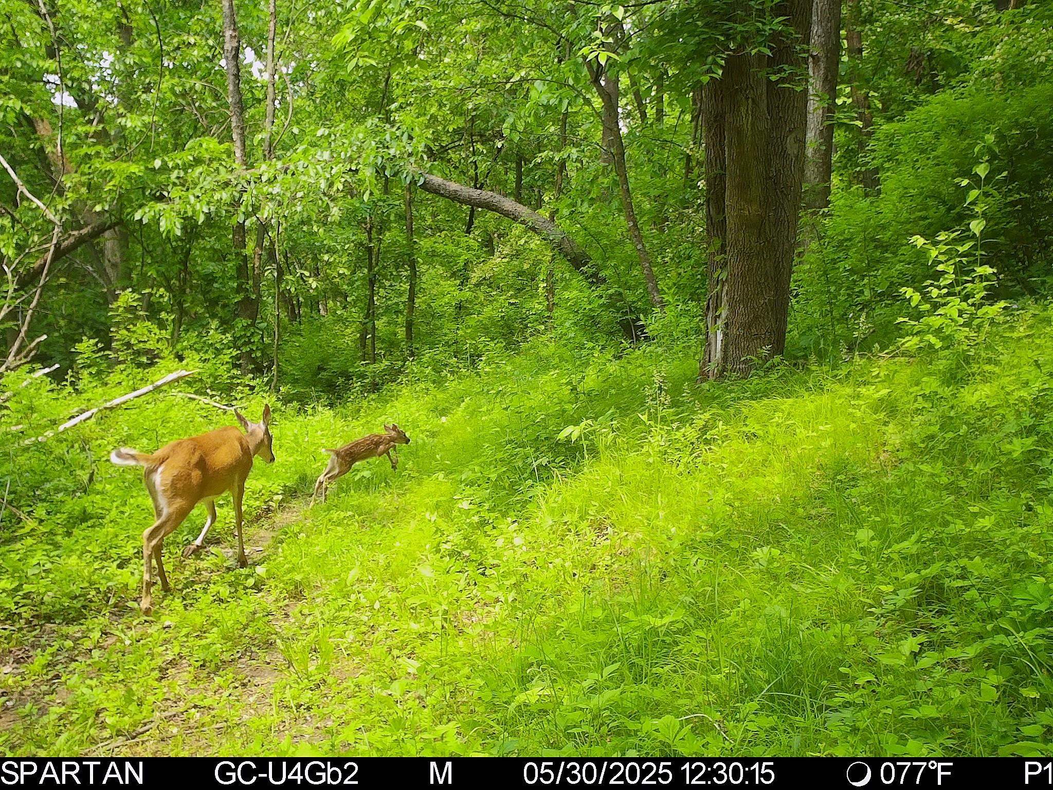 S10740 Bear Valley Road Spring Green, WI 53588 - Photo 6 of 34