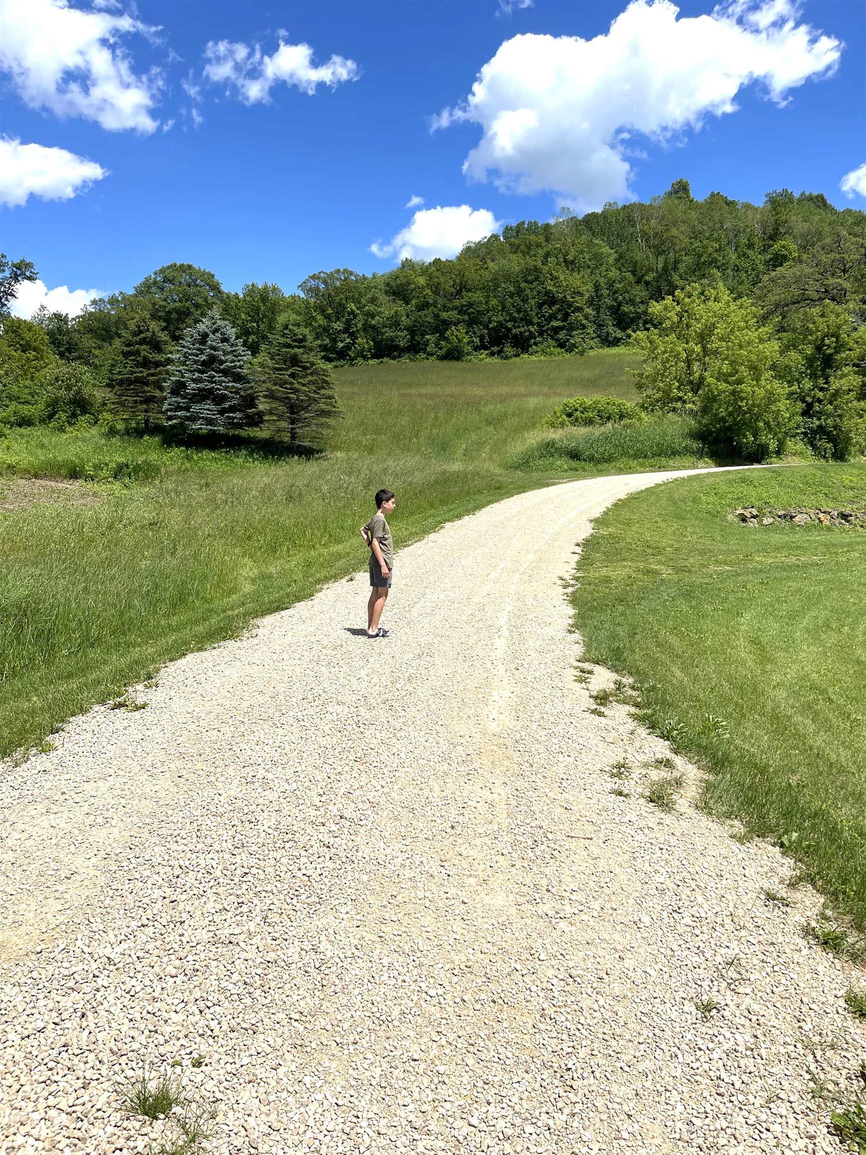 S10740 Bear Valley Road Spring Green, WI 53588 - Photo 7 of 34