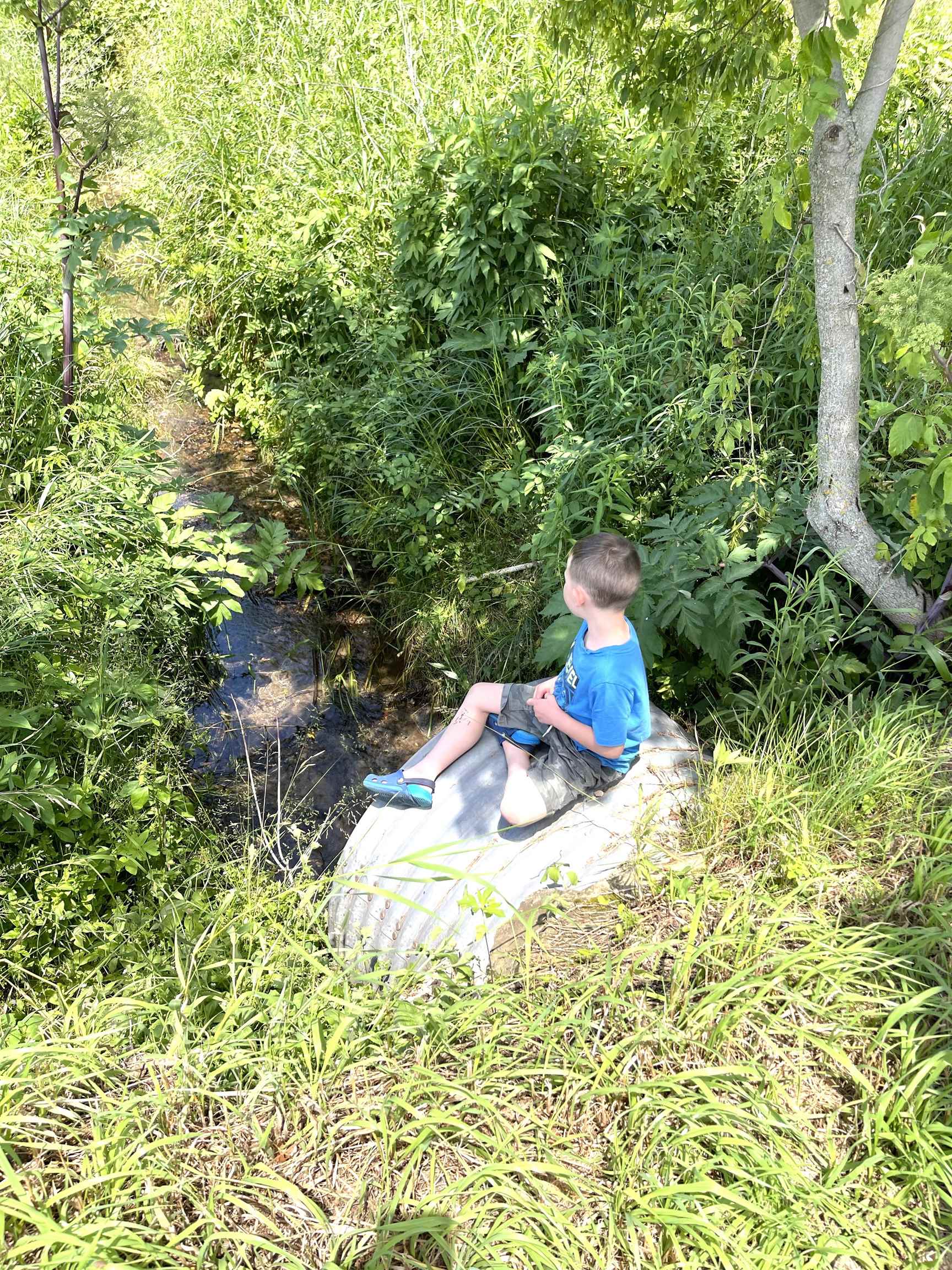 S10740 Bear Valley Road Spring Green, WI 53588 - Photo 8 of 34