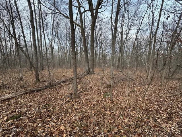 $242,900 | Tbd 50th Avenue, Ogilvie, MN 56358