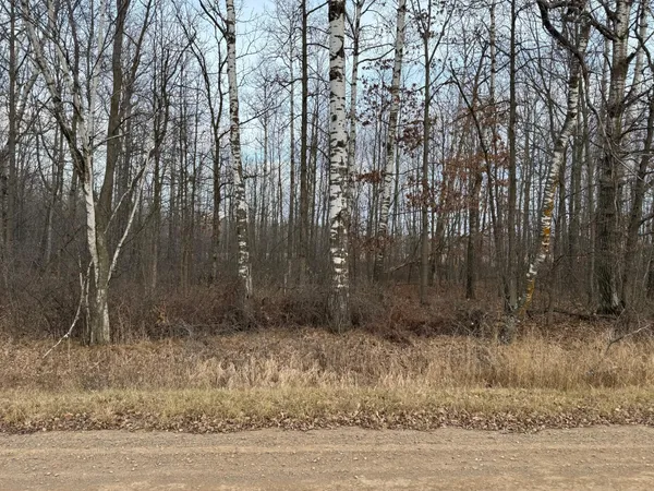 $226,000 | Tbd 50th Avenue, Ogilvie, MN 56358