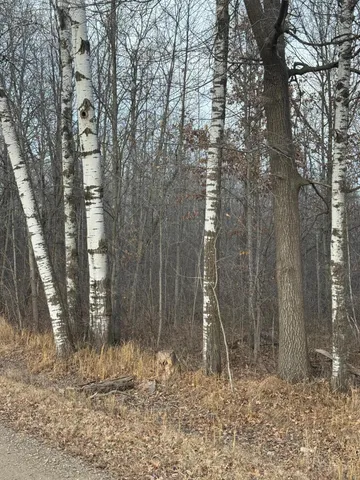 $242,900 | Tbd 50th Avenue, Ogilvie, MN 56358