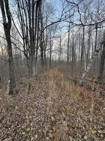 $226,000 | Tbd 50th Avenue, Ogilvie, MN 56358