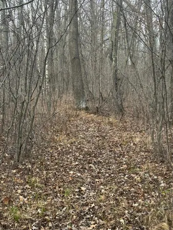 $226,000 | Tbd 50th Avenue, Ogilvie, MN 56358