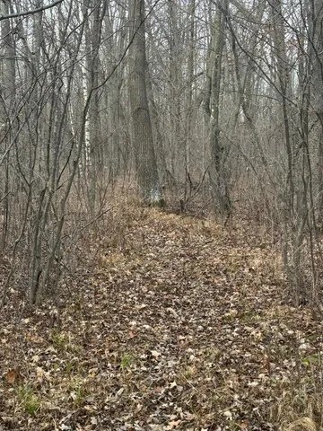 $242,900 | Tbd 50th Avenue, Ogilvie, MN 56358