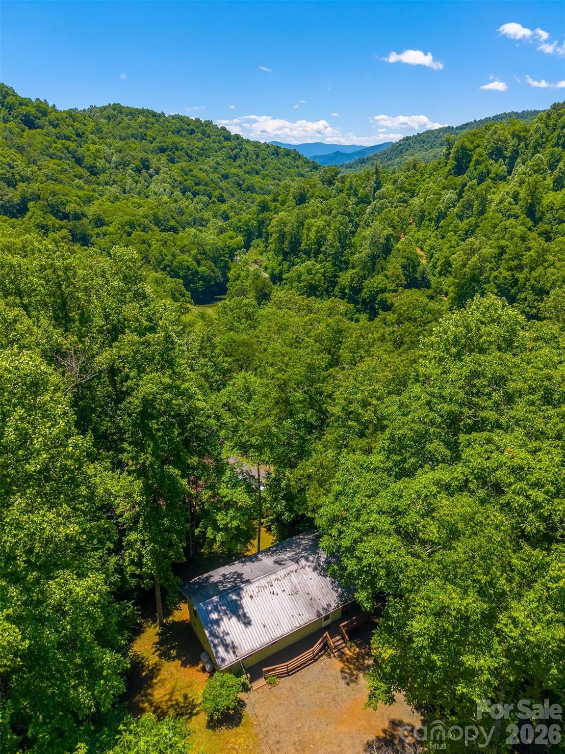 168 Grizzly Ridge Road Sylva, NC 28779 - Photo 40 of 40