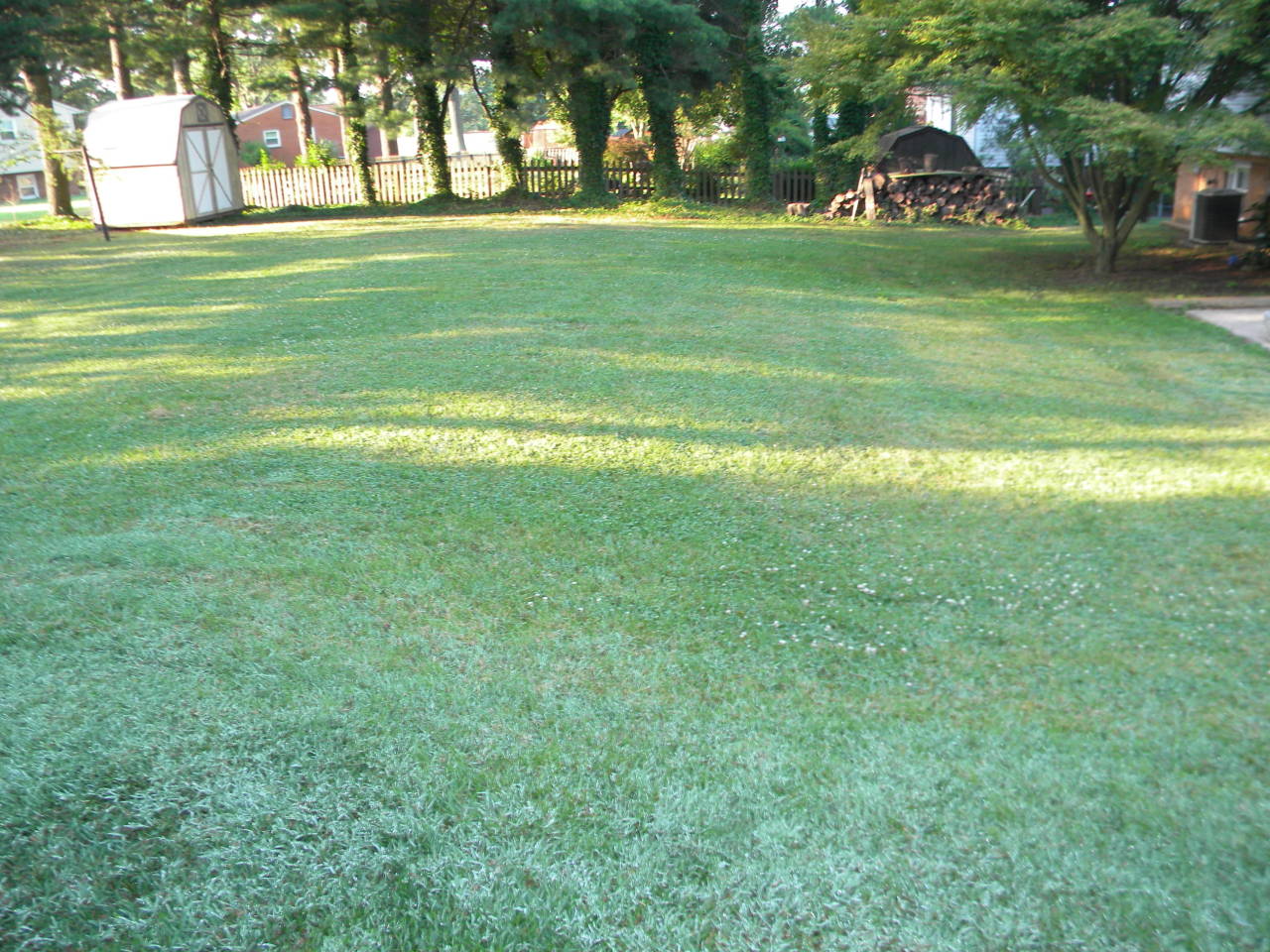 714 Mason Road Vinton, VA 24179 - Photo 16 of 16 Backyard