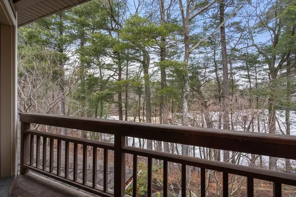 a view of trees and trees from a balcony