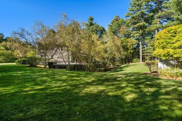 a view of yard with green space