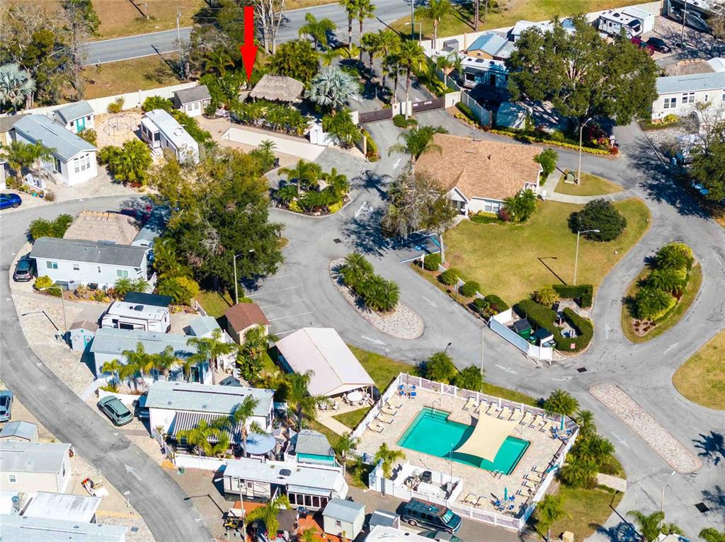 20300 Leonard Road, Unit 39 Lutz, FL 33558 - Photo 20 of 33