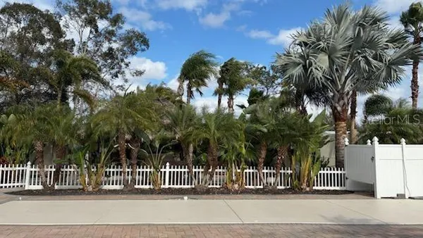 a view of a park with of trees