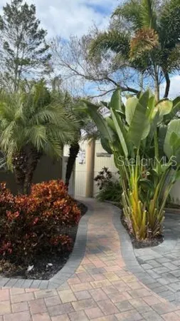 a view of a yard with plants and a bench