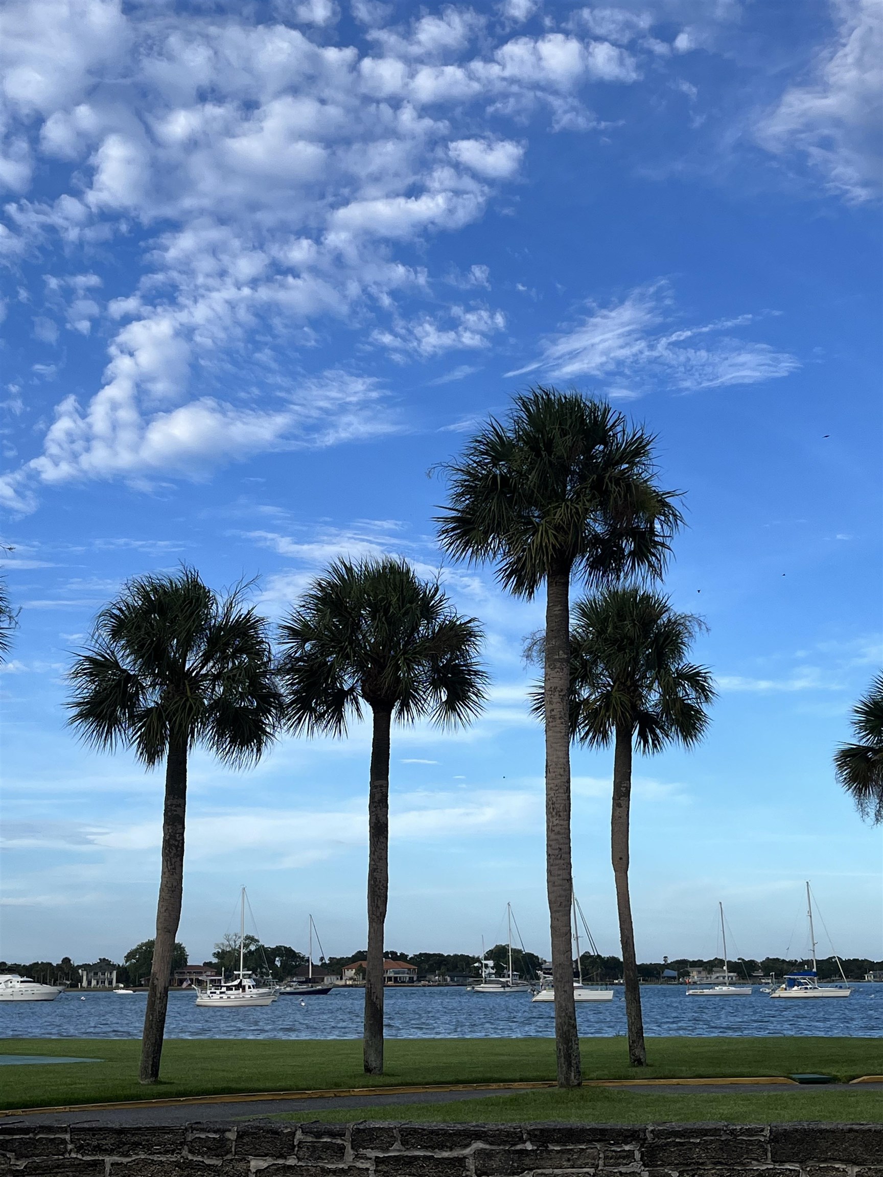 1010 San Remo Road St. Augustine, FL 32086 - Photo 47 of 67 a view of three palm trees