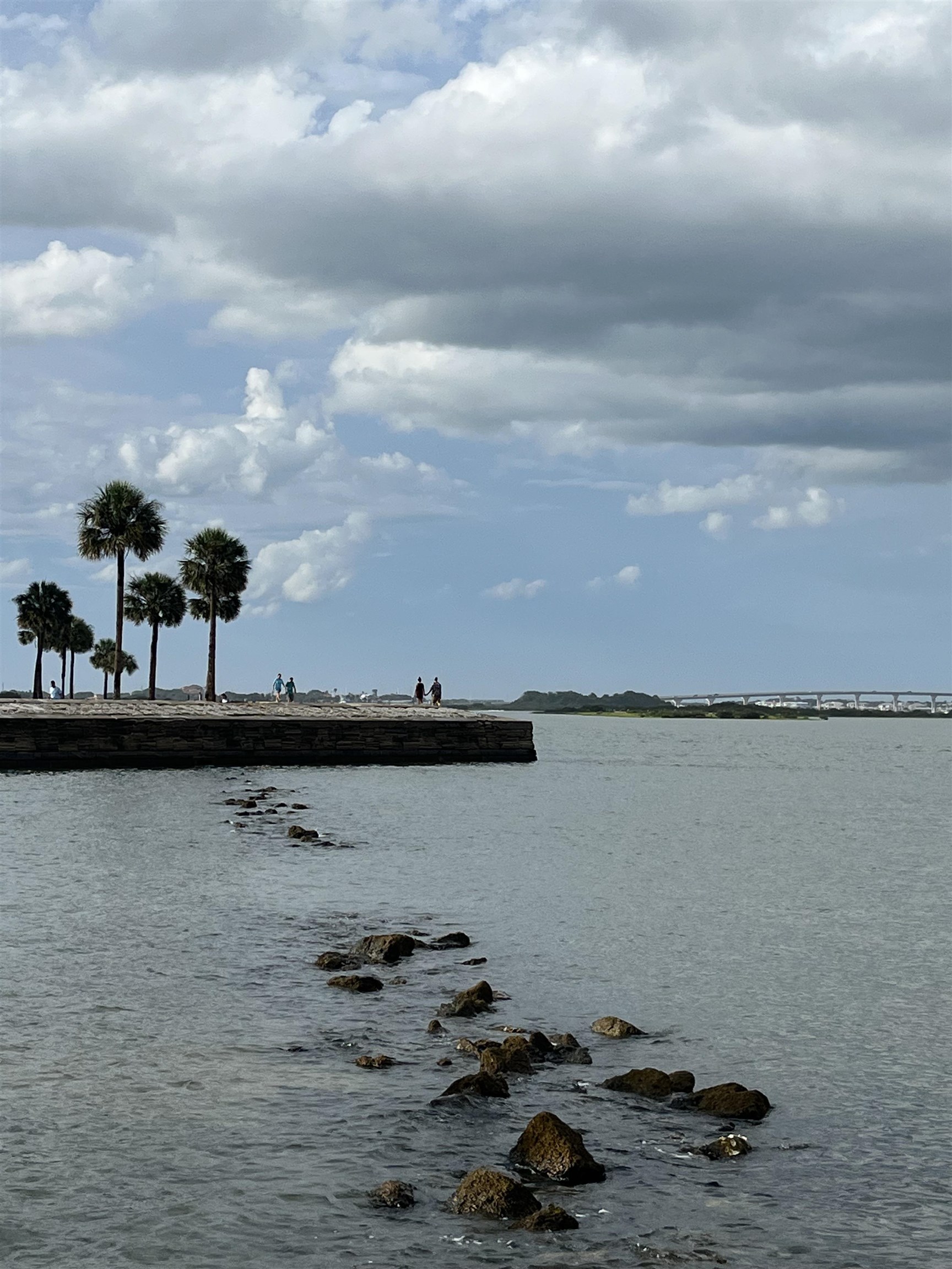 1010 San Remo Road St. Augustine, FL 32086 - Photo 49 of 67 a view of a lake