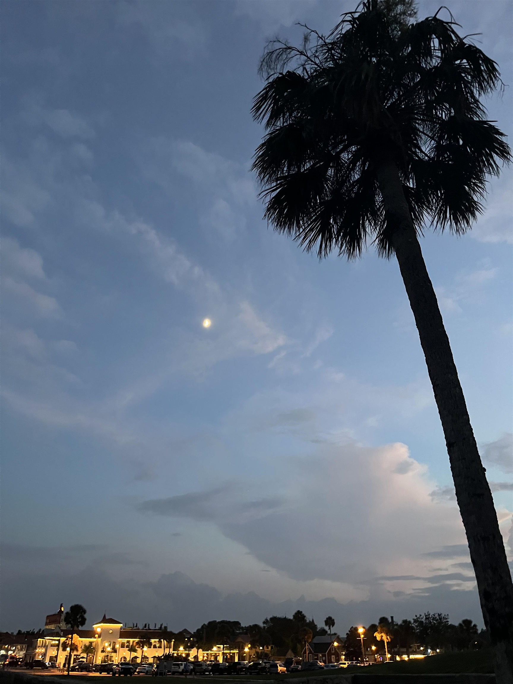 1010 San Remo Road St. Augustine, FL 32086 - Photo 50 of 67 Water view