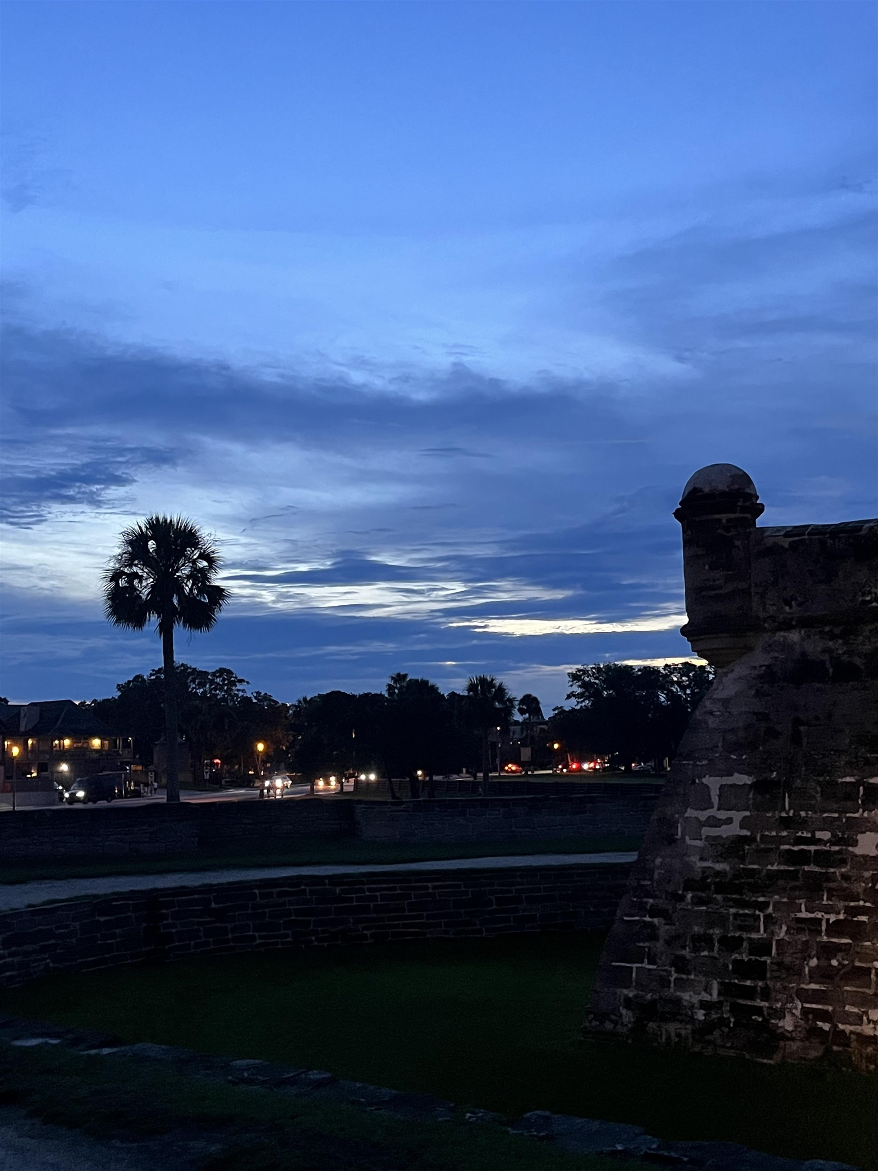 1010 San Remo Road St. Augustine, FL 32086 - Photo 58 of 67 View of community